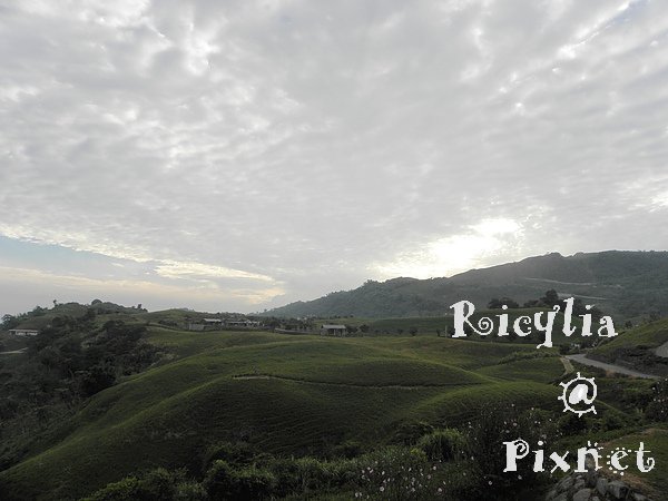 2010.7.11 259.JPG