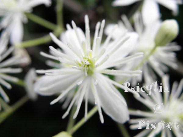 2010.7.11 304.JPG