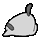 penguin不依.gif