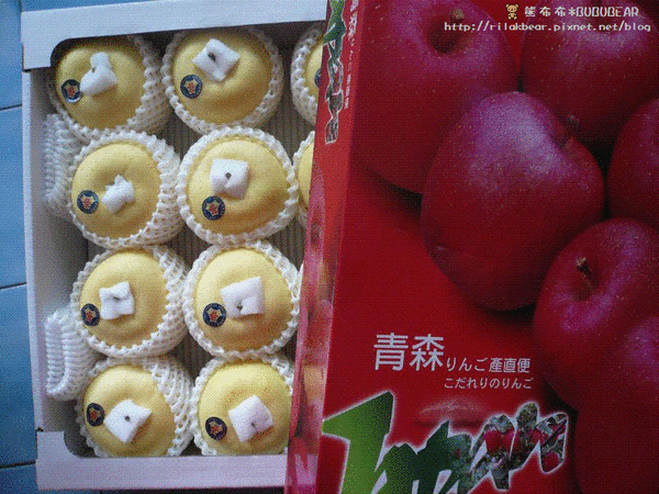 P1040146.JPG