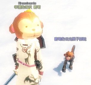 猴子1.jpg
