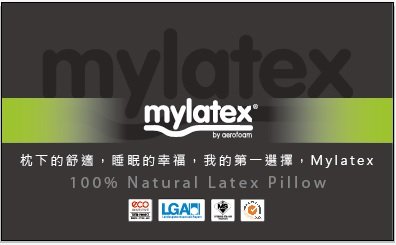 Mylatex 正面