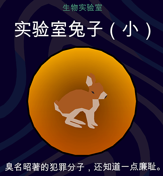 實驗室兔子小.png