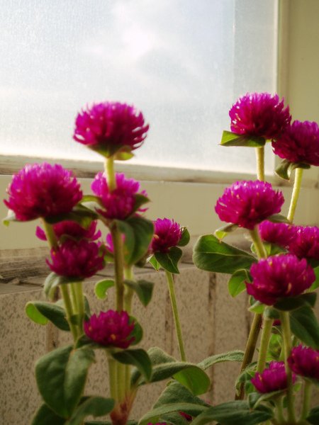 P1010040.JPG