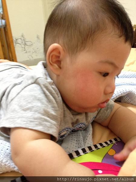 2013-08-21 13.56.17.jpg