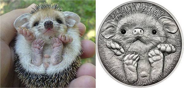 Mongolia 2012 Long-eared Hedgehog 500 Tugrik