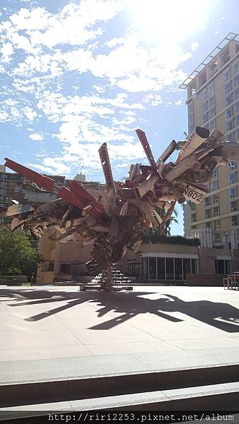 20161010_113805.jpg