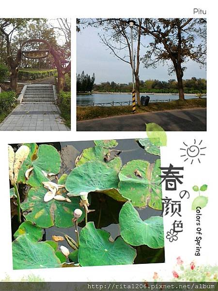 澄清湖幸福花園.jpg