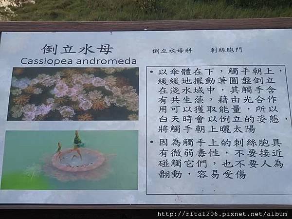 林園海洋濕地公園 (3).jpg