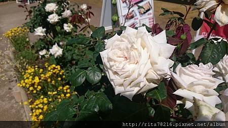 DSC_0378.JPG