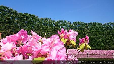 DSC_0407.JPG