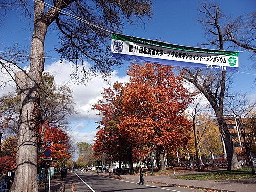 北海道－北海道大學