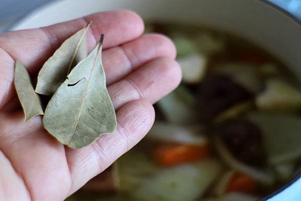 奶油濃湯