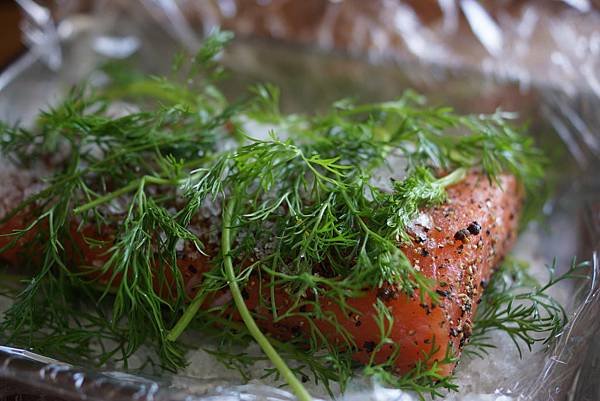 醃製生鮭魚 Gravlax