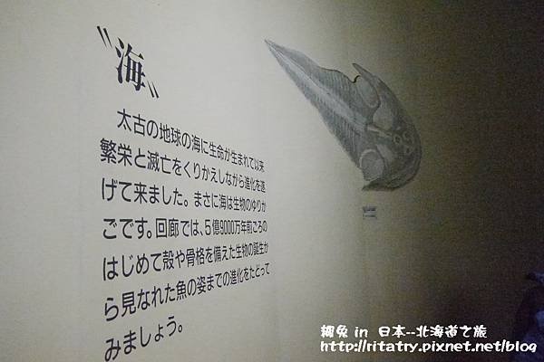 P1140099.JPG