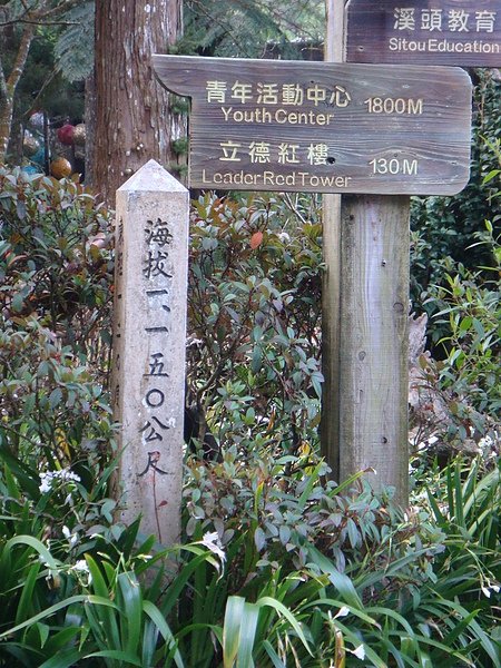 DSC09381.JPG