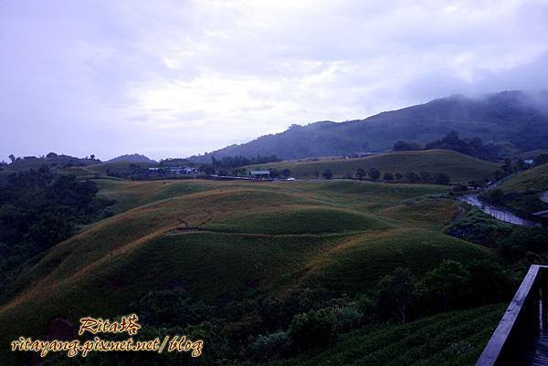 DSC07654