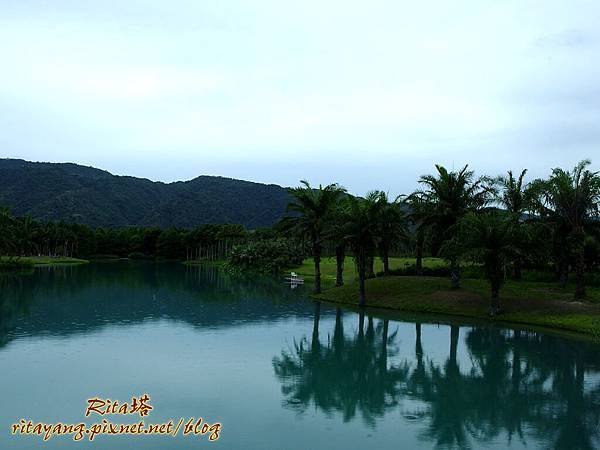 IMGP0694