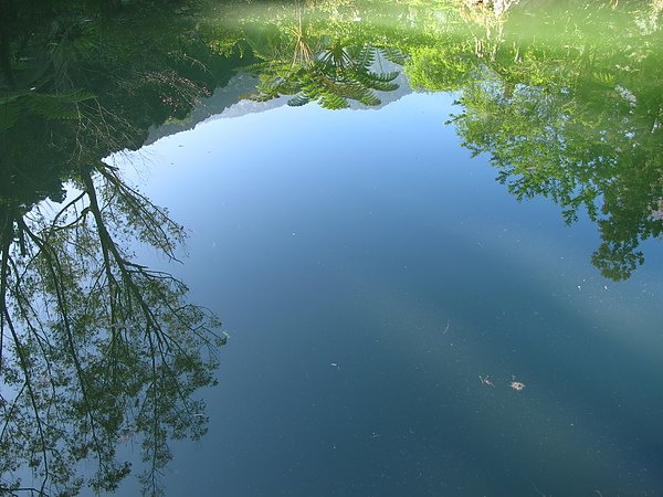 IMG_1292.JPG