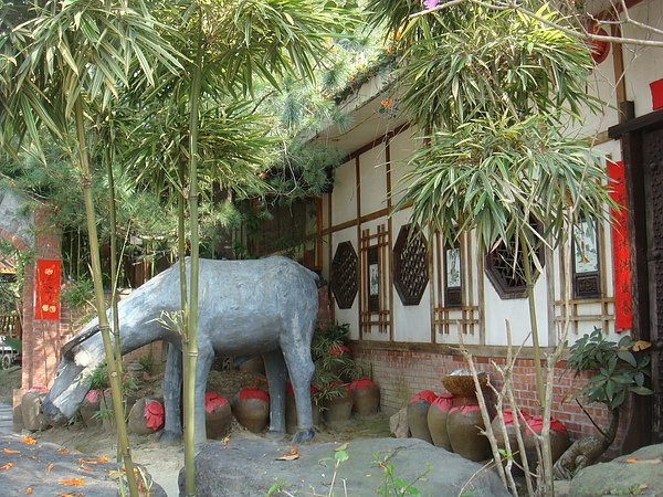 DSC09142.JPG