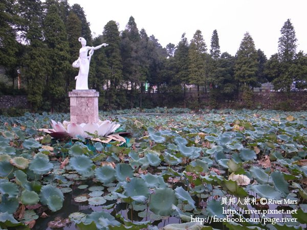 荷花園 2