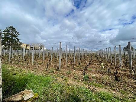 Route de Grand Cru 特級酒莊之路 @ 法國