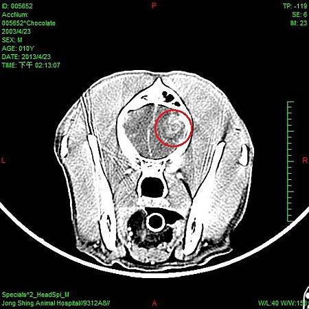 CT-3