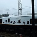 DSCF2804.JPG
