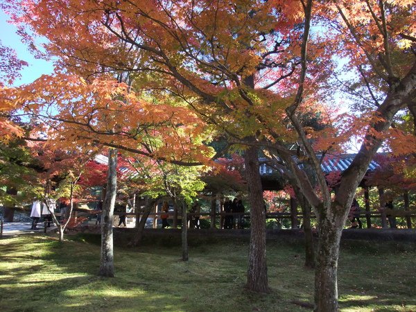 DSCF1951.JPG