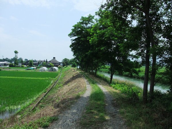 DSCF1577.JPG