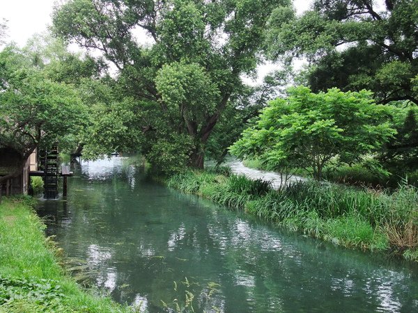 DSCF1559.JPG