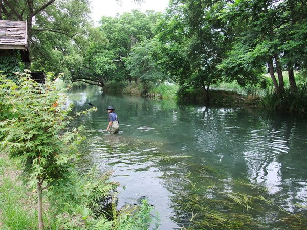 DSCF1556.JPG
