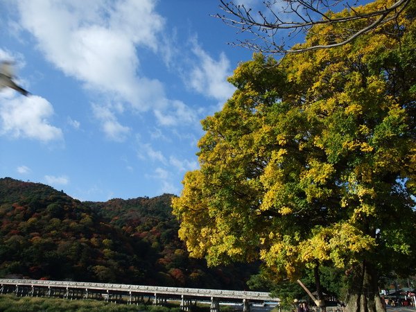 DSCF1767.JPG