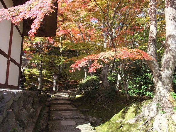 DSCF1825.JPG