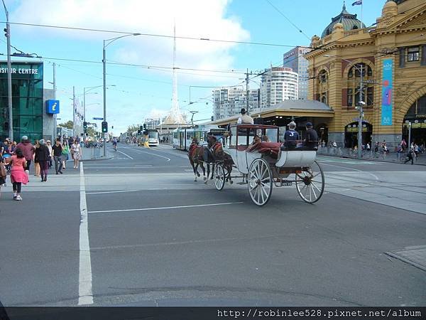 DSCN3785