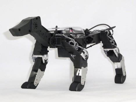 hpi-gdog.jpg