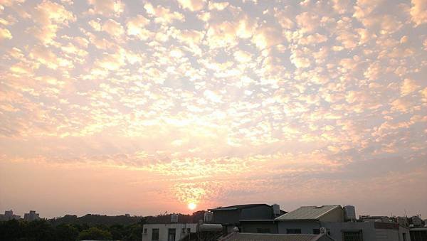 IMAG0844