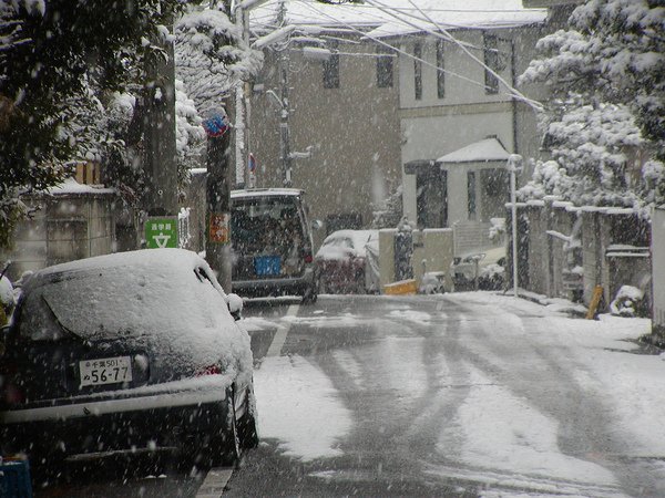 東京雪.jpg