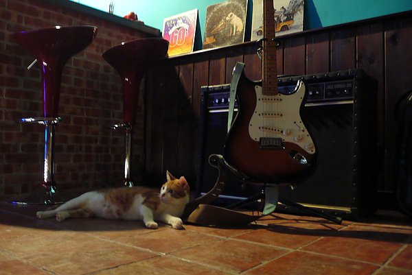 P1100054.JPG