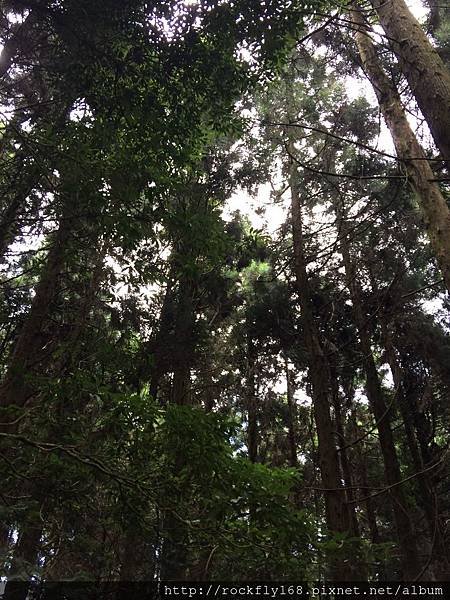 【認識更高層世界的知識】20250519