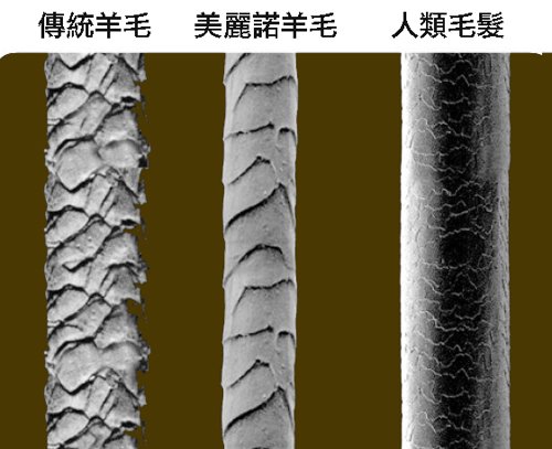 2.羊毛申論題(下)_羊毛纖維只要經過品質控管，製成之後真的是讓人刮目相看啊