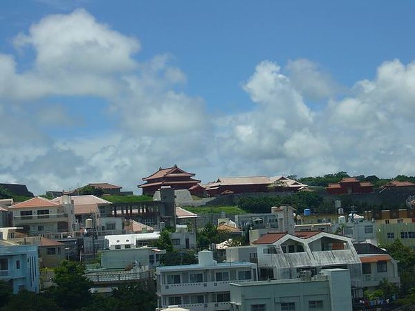 P48.JPG