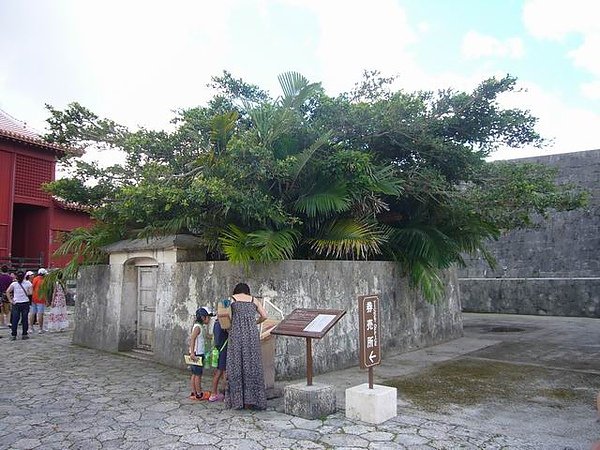 P24.JPG