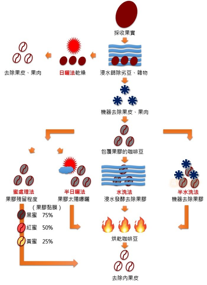 咖啡生豆處理.jpg