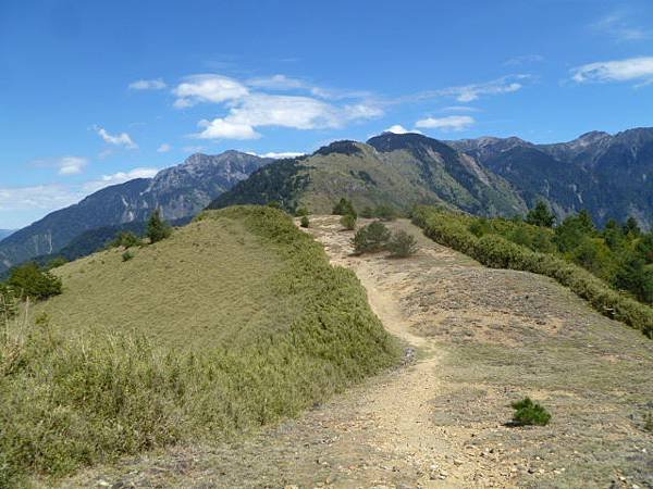 「麟趾山」往「玉山登山口」