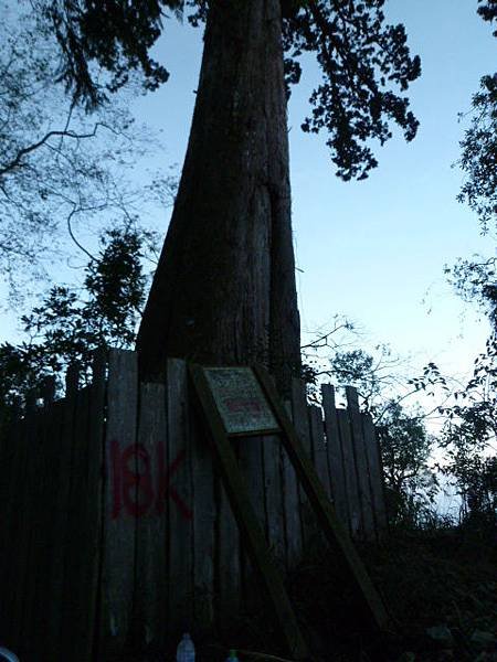 P1070010