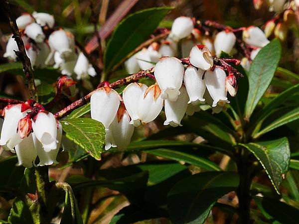 P1020374.JPG