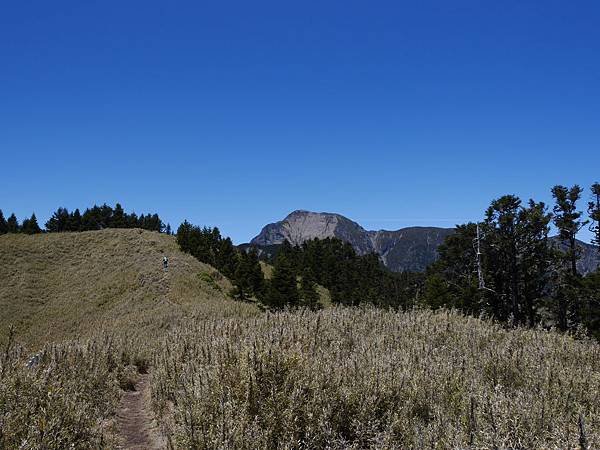 P1020414.JPG
