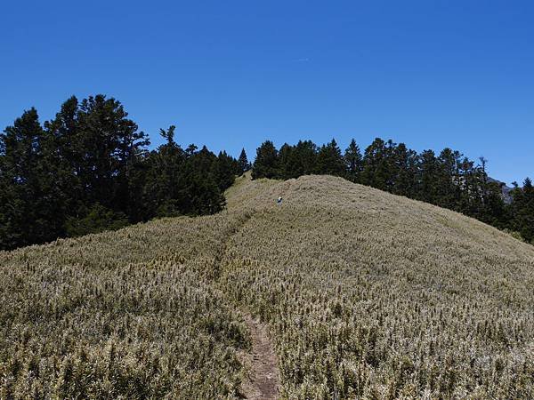 P1020413.JPG