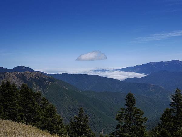P1020419.JPG